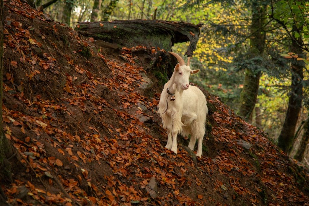 image 2 de la structure