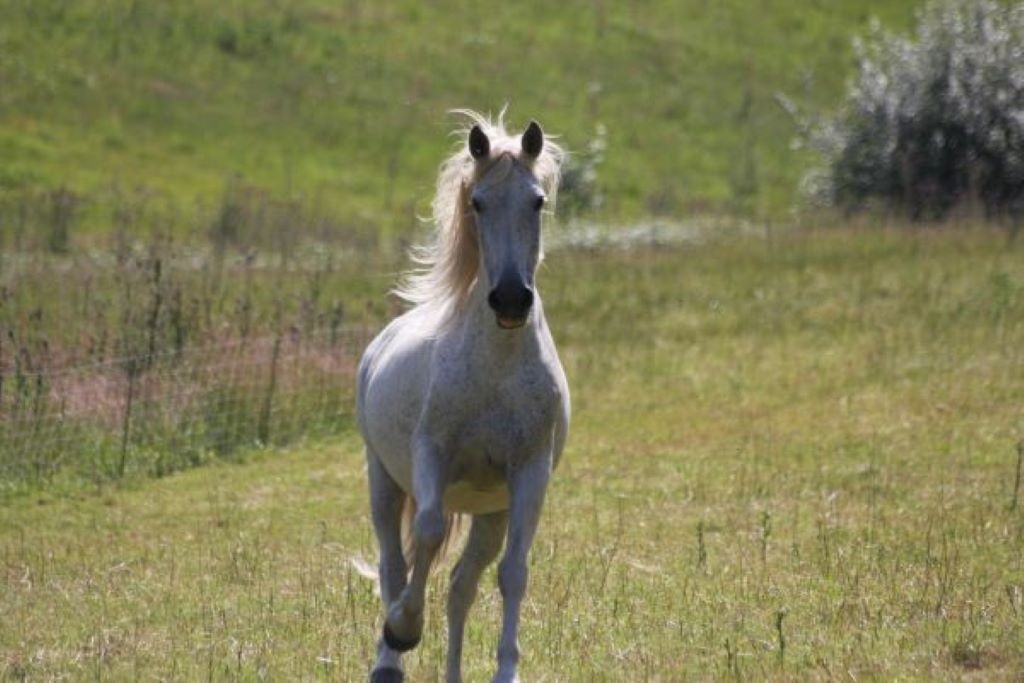 image 4 de la structure